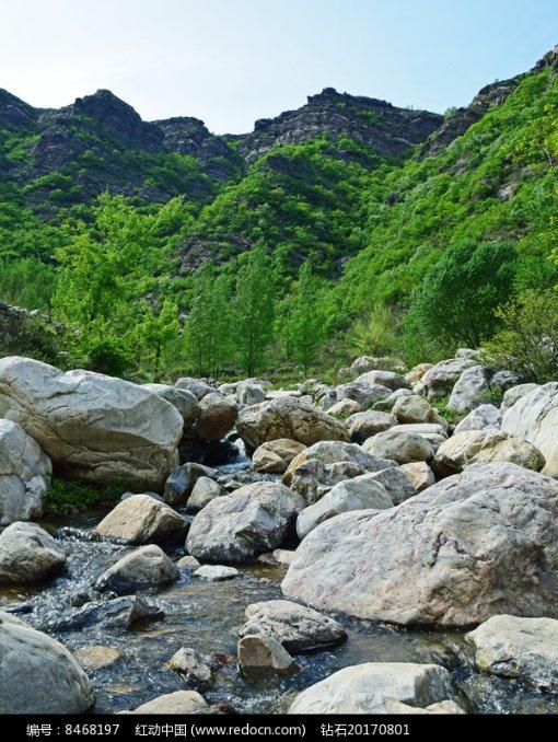 解题蜗牛,小米有几种吃法问答平台